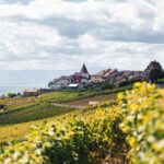 2023 is a Great Year for a Change: Here Are 6 Amazing Wine Countries to Consider